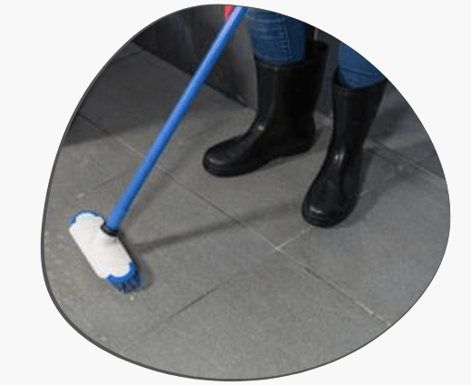 Tile and Grout Cleaning Brunswick