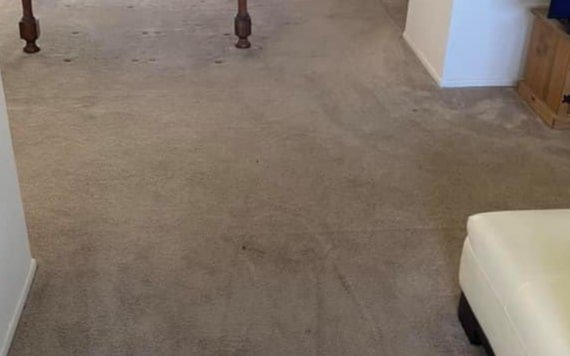 best end of lease carpet cleaning brunswick