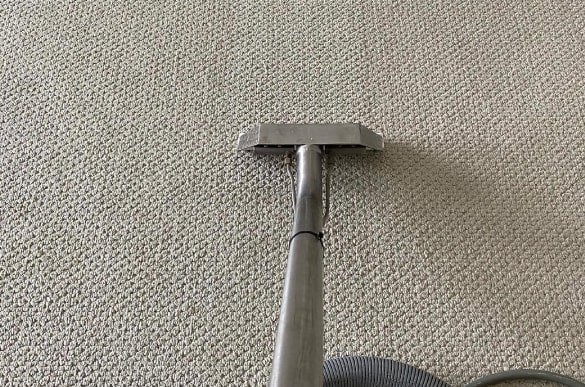 carpet cleaning In brunswick