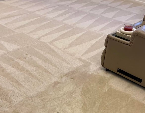 Professional Carpet Cleaning Brunswick