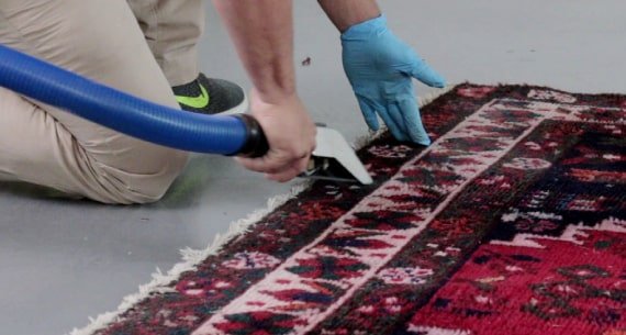 professional rug cleaners in brunswick