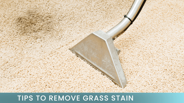Remove grass stains from carpet